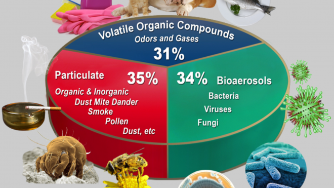 Ensure The Health Of Your Home Or Office